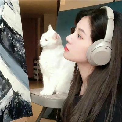 好莱坞大道